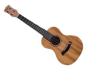 Ukulele
